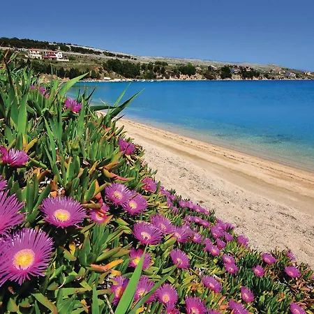 아파트 Amazing In Pag With Wifi *